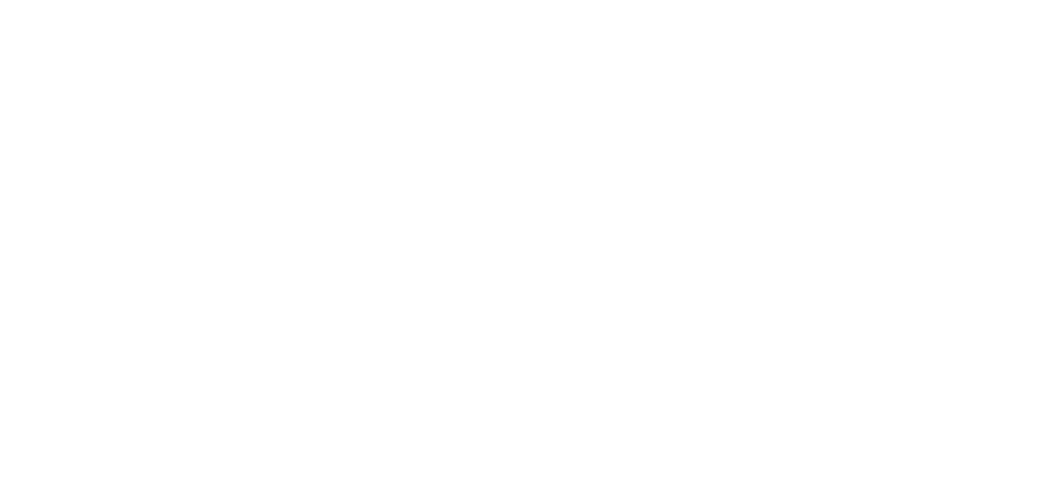 BMMAF — Belgian Mixed Martial Arts Federation